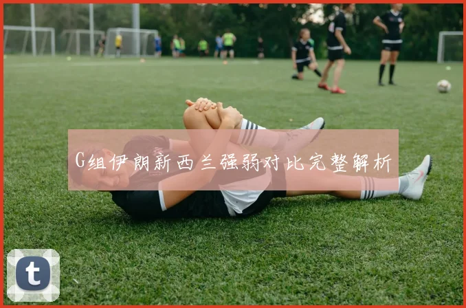 G组伊朗新西兰强弱对比完整解析