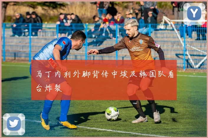 马丁内利外脚背传中埃及韩国队看台炸裂