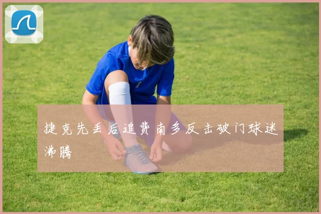 捷克先丢后追费南多反击破门球迷沸腾